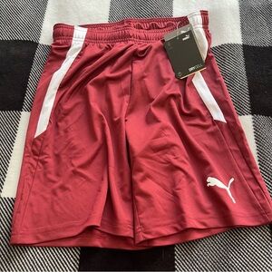 Puma Men's Regular Fit Burgundy Athletic Shorts